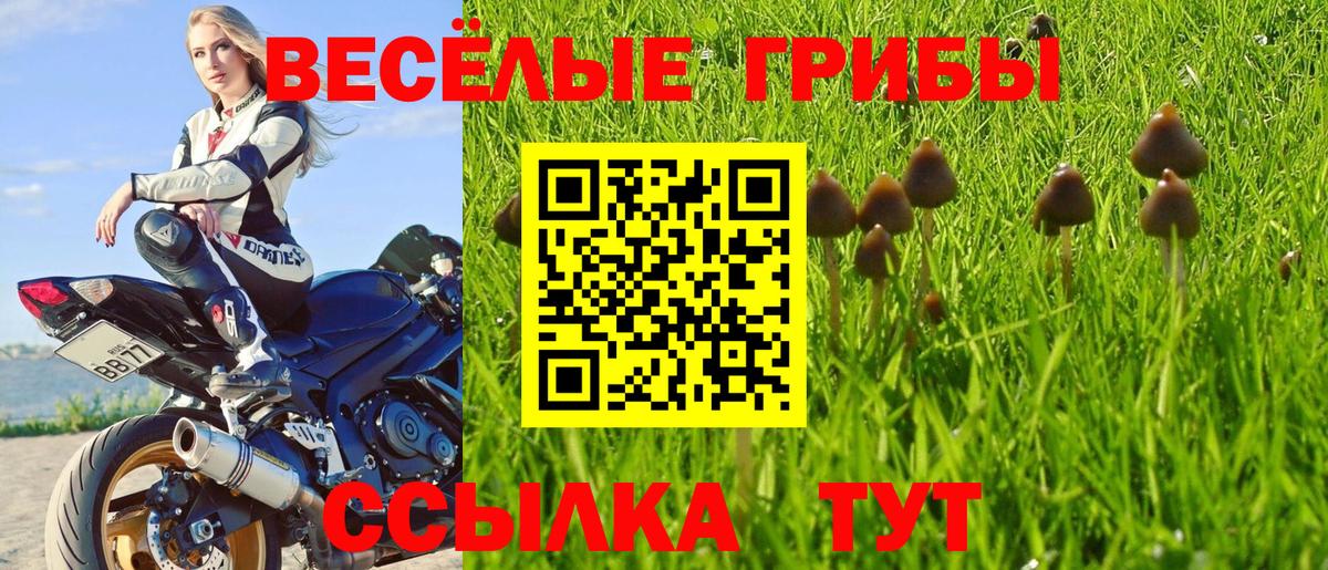 Учалы  Галлюциногенные грибы Cubensis  Вход с VPN  купить наркоту  Галлюциногенные грибы прущие грибы 